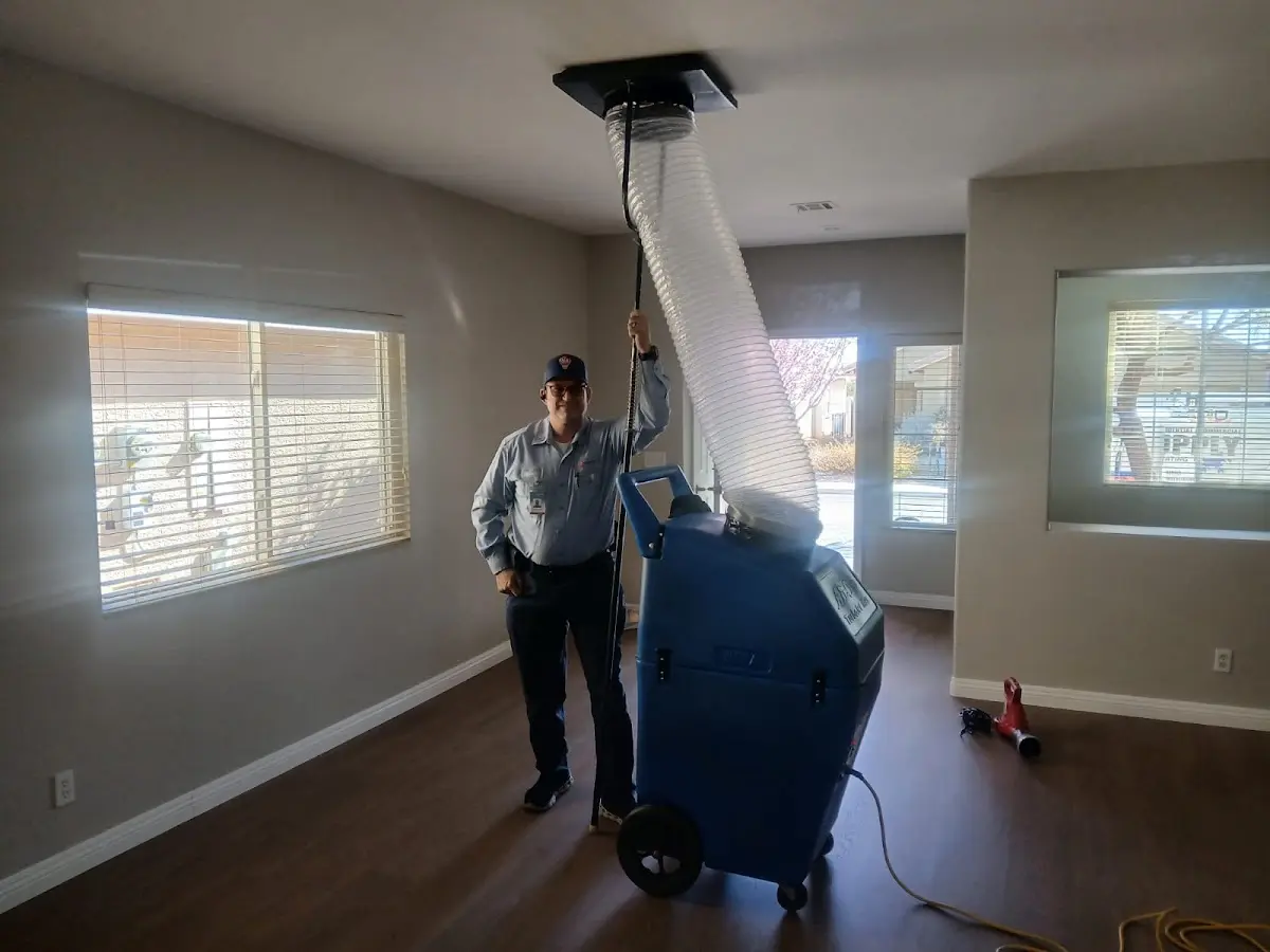 Professional Dryer Vent Cleaning work inside a Chelsea home